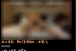 黄色片视频大全,揭秘网络色情内容的真相与危害